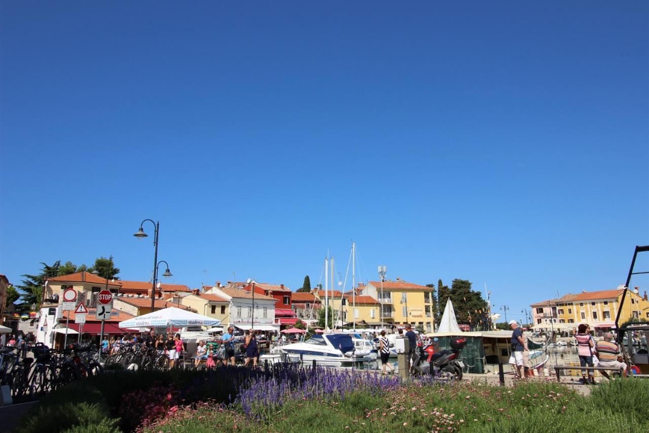 Appartement Irena A2 à Novigrad Istria Extérieur photo